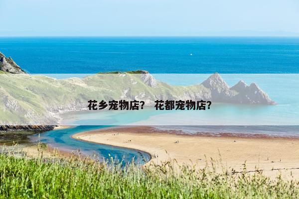 花乡宠物店？ 花都宠物店？
