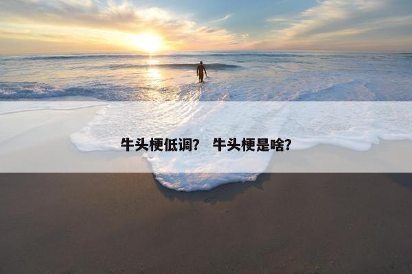 牛头梗低调？ 牛头梗是啥？