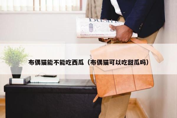 布偶猫能不能吃西瓜（布偶猫可以吃甜瓜吗）
