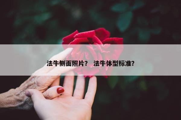 法牛侧面照片？ 法牛体型标准？