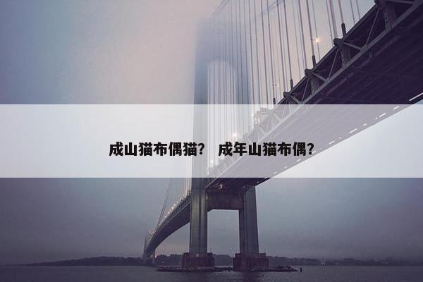 成山猫布偶猫？ 成年山猫布偶？