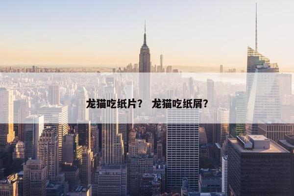龙猫吃纸片？ 龙猫吃纸屑？
