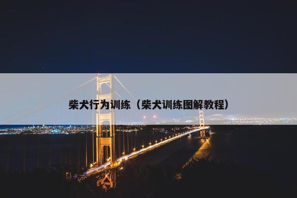 柴犬行为训练（柴犬训练图解教程）