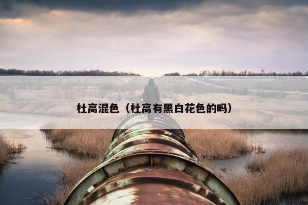 杜高混色（杜高有黑白花色的吗）