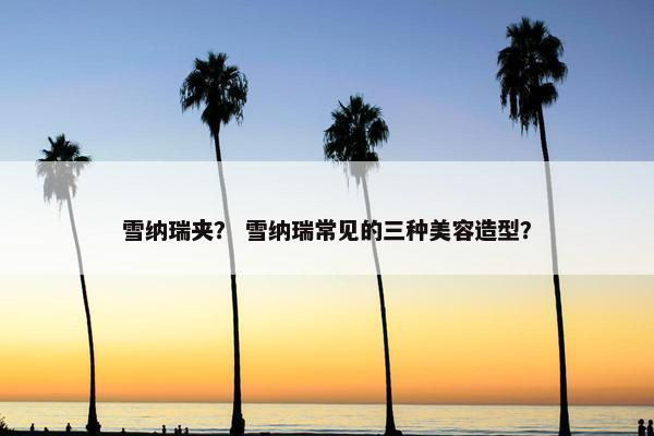 雪纳瑞夹？ 雪纳瑞常见的三种美容造型？