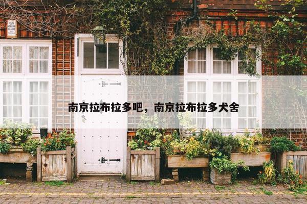 南京拉布拉多吧，南京拉布拉多犬舍