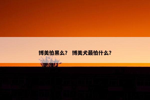 博美怕黑么？ 博美犬最怕什么？