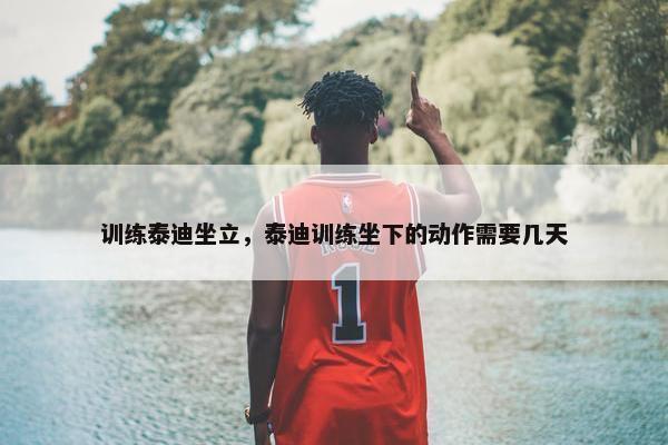 训练泰迪坐立，泰迪训练坐下的动作需要几天