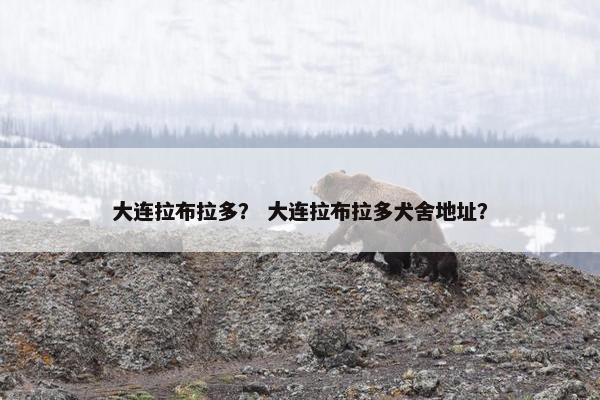 大连拉布拉多？ 大连拉布拉多犬舍地址？