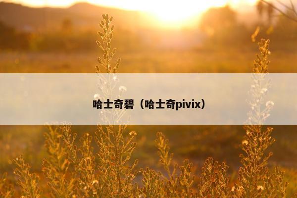 哈士奇碧（哈士奇pivix）