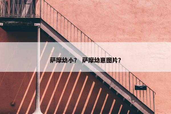 萨摩幼小？ 萨摩幼崽图片？