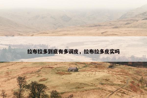 拉布拉多到底有多调皮，拉布拉多皮实吗