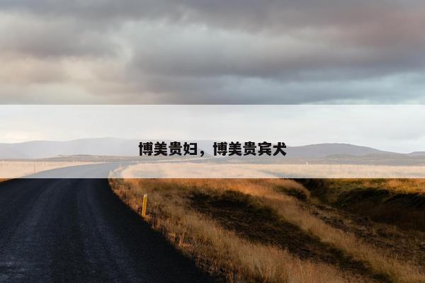 博美贵妇，博美贵宾犬