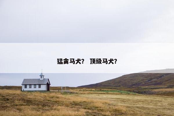 猛禽马犬？ 顶级马犬？
