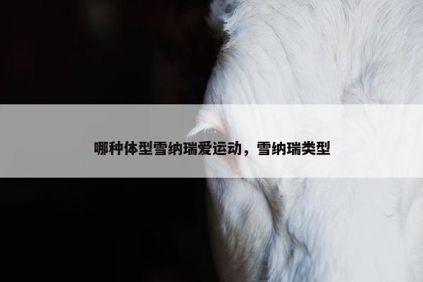 哪种体型雪纳瑞爱运动，雪纳瑞类型