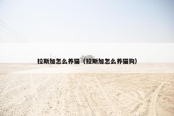 拉斯加怎么养猫（拉斯加怎么养猫狗）