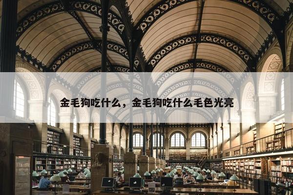 金毛狗吃什么，金毛狗吃什么毛色光亮