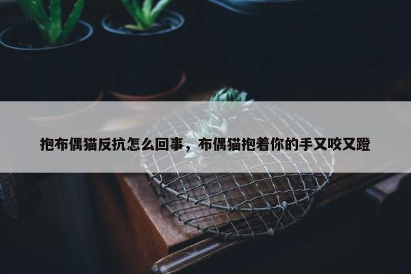 抱布偶猫反抗怎么回事，布偶猫抱着你的手又咬又蹬