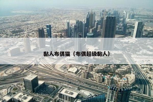 黏人布偶猫（布偶超级黏人）