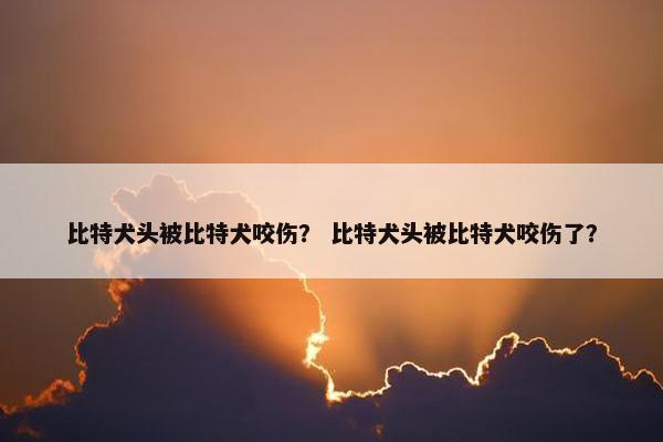 比特犬头被比特犬咬伤？ 比特犬头被比特犬咬伤了？