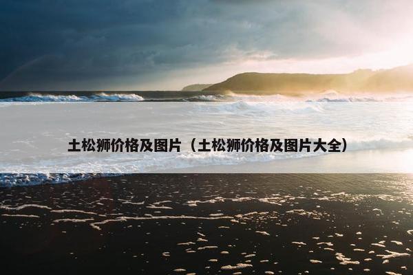 土松狮价格及图片（土松狮价格及图片大全）