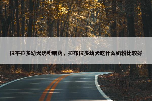 拉不拉多幼犬奶粉喂药，拉布拉多幼犬吃什么奶粉比较好
