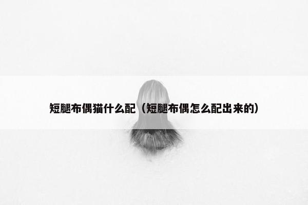 短腿布偶猫什么配（短腿布偶怎么配出来的）
