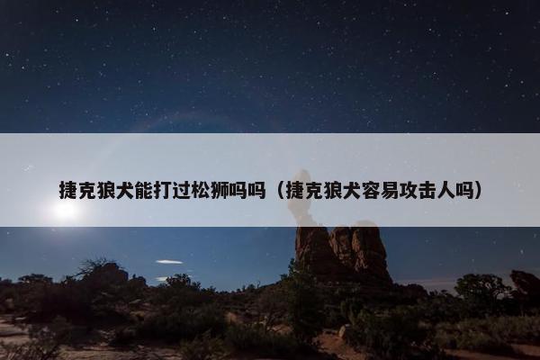 捷克狼犬能打过松狮吗吗（捷克狼犬容易攻击人吗）