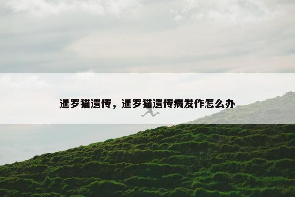 暹罗猫遗传，暹罗猫遗传病发作怎么办