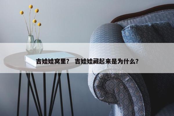 吉娃娃窝里？ 吉娃娃藏起来是为什么？