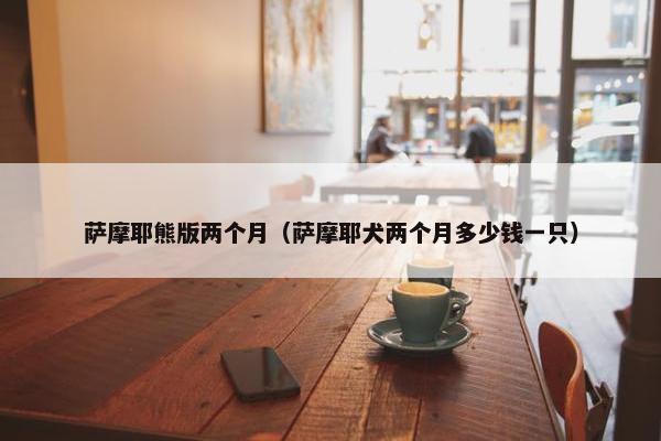 萨摩耶熊版两个月（萨摩耶犬两个月多少钱一只）