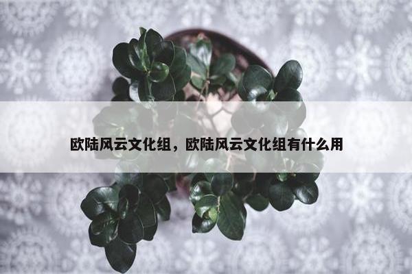欧陆风云文化组，欧陆风云文化组有什么用