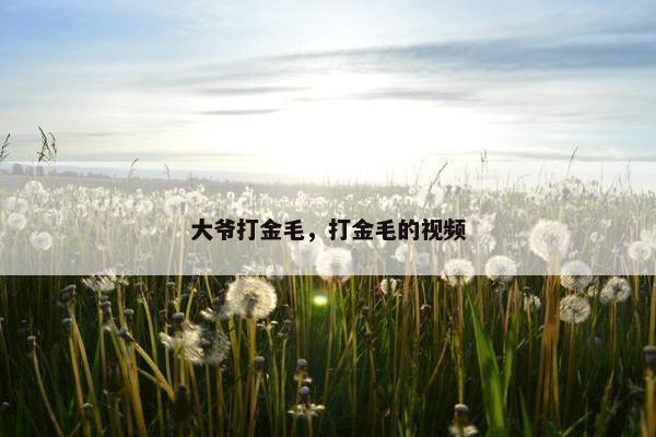 大爷打金毛，打金毛的视频