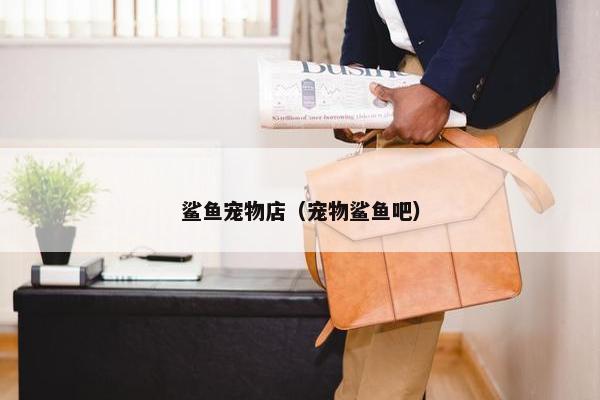 鲨鱼宠物店（宠物鲨鱼吧）