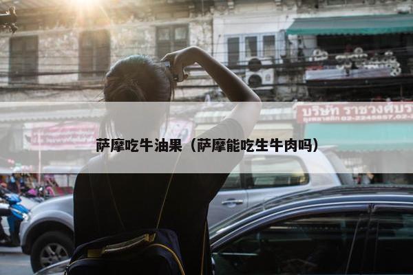 萨摩吃牛油果（萨摩能吃生牛肉吗）