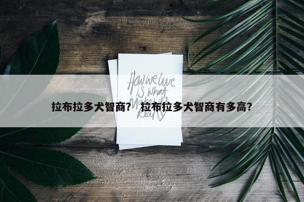 拉布拉多犬智商？ 拉布拉多犬智商有多高？