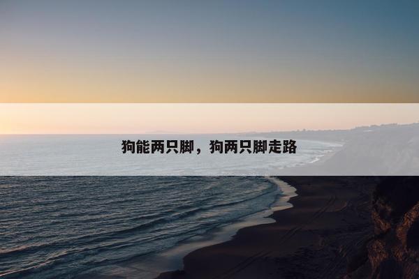 狗能两只脚，狗两只脚走路
