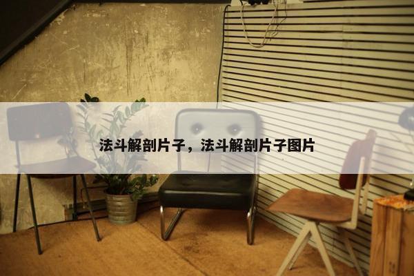 法斗解剖片子，法斗解剖片子图片