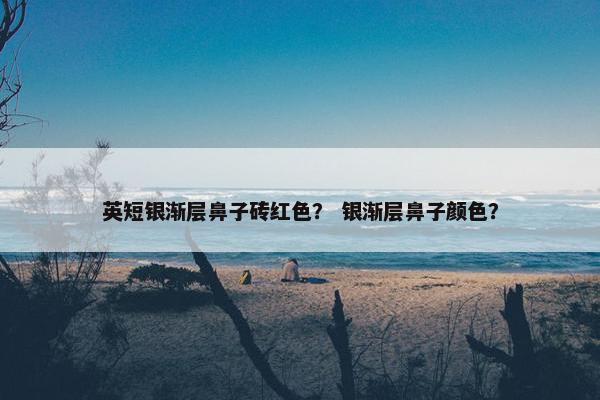 英短银渐层鼻子砖红色？ 银渐层鼻子颜色？