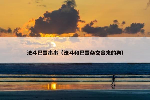 法斗巴哥串串（法斗和巴哥杂交出来的狗）