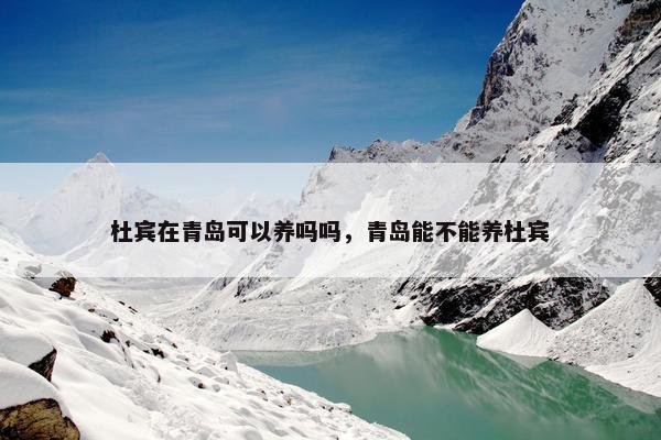 杜宾在青岛可以养吗吗，青岛能不能养杜宾
