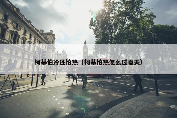 柯基怕冷还怕热（柯基怕热怎么过夏天）