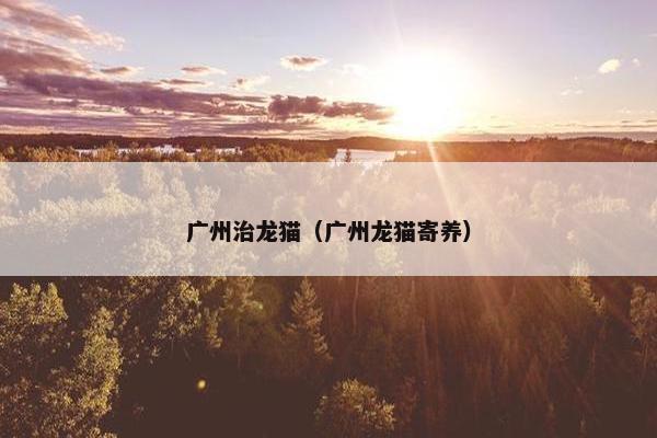 广州治龙猫（广州龙猫寄养）