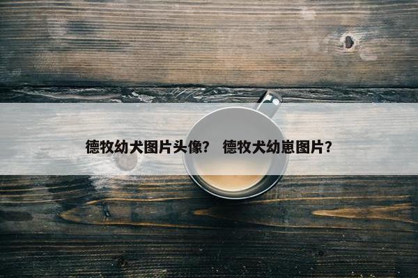 德牧幼犬图片头像？ 德牧犬幼崽图片？