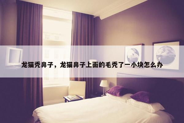 龙猫秃鼻子，龙猫鼻子上面的毛秃了一小块怎么办