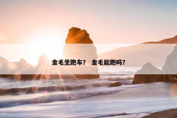 金毛坐跑车？ 金毛能跑吗？