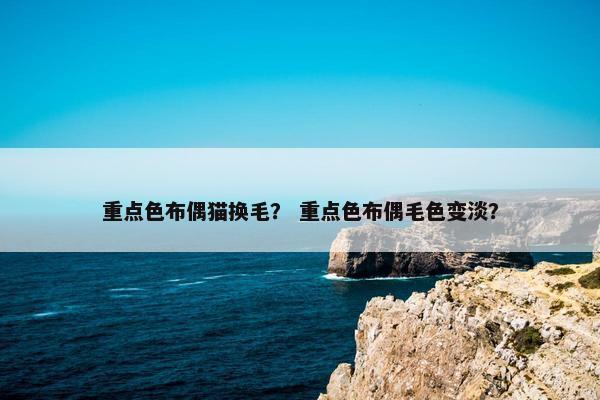 重点色布偶猫换毛？ 重点色布偶毛色变淡？