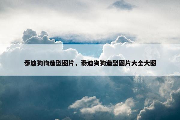 泰迪狗狗造型图片，泰迪狗狗造型图片大全大图