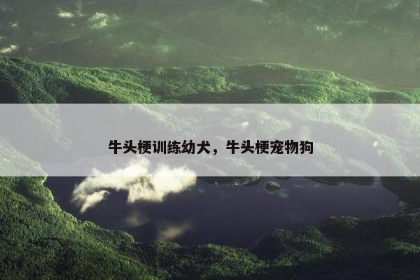牛头梗训练幼犬，牛头梗宠物狗