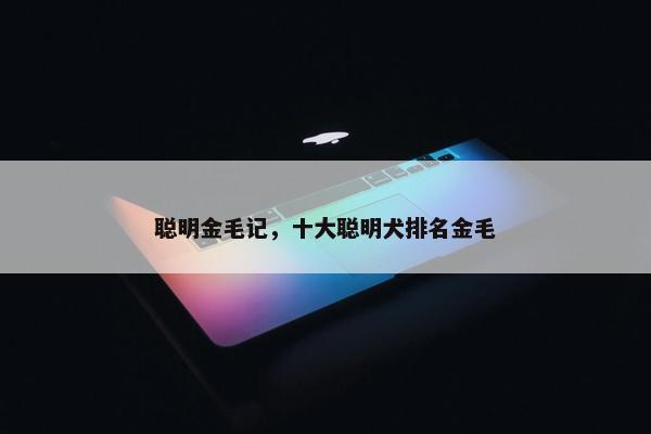 聪明金毛记，十大聪明犬排名金毛